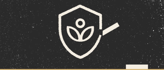 An illustration of a chalk board with a chalk drawing of the Khan Academy logo within a shield.
