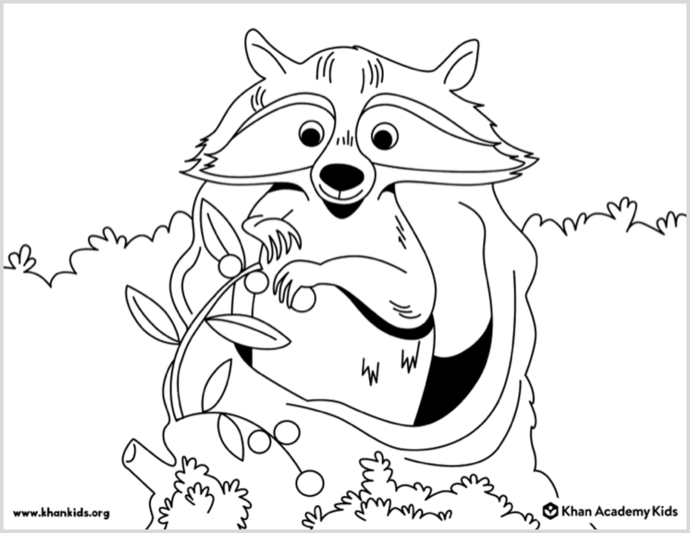 animal coloring pages for kids raccoon