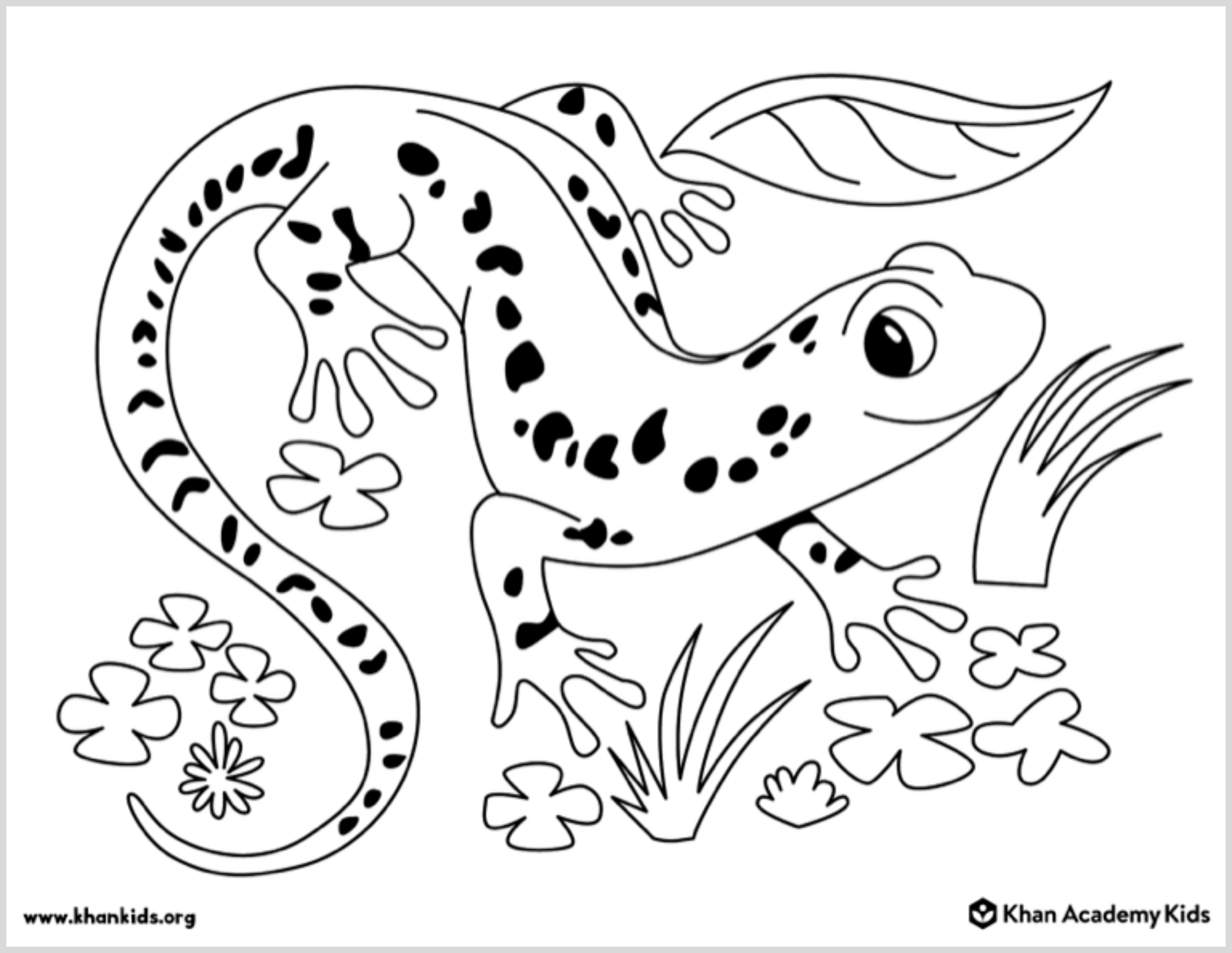 animal coloring pages for kids salamander
