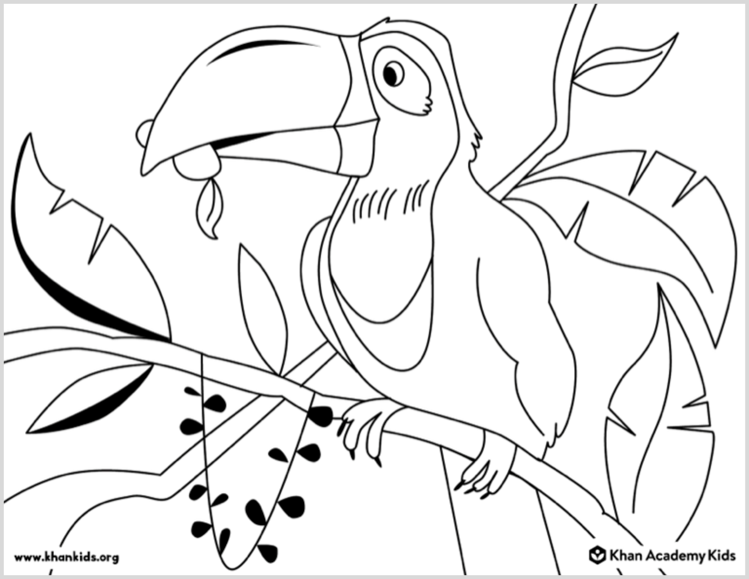 animal coloring pages for kids toucan