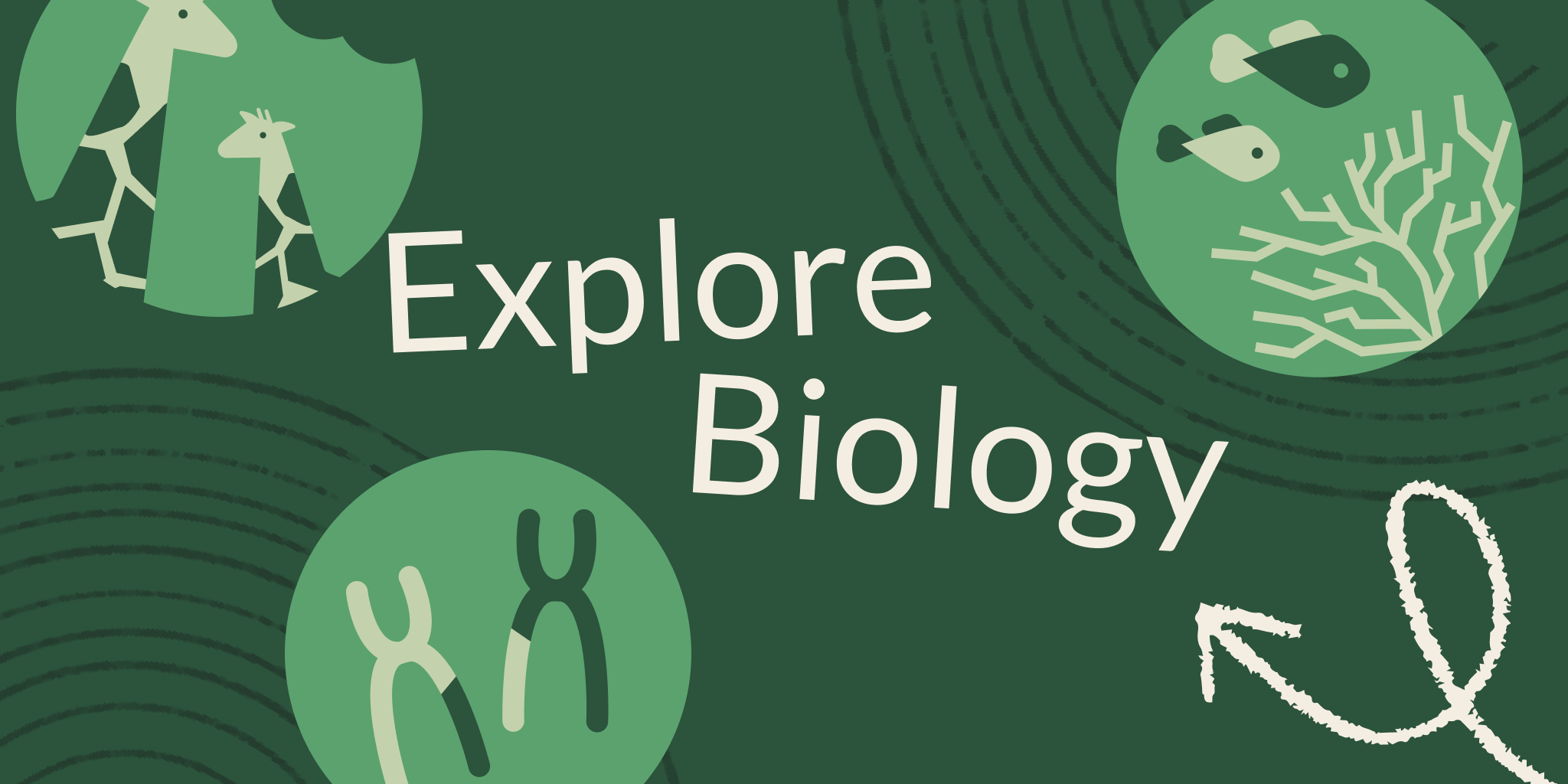 How to Teach High School Biology This Year—Without Starting from Scratch