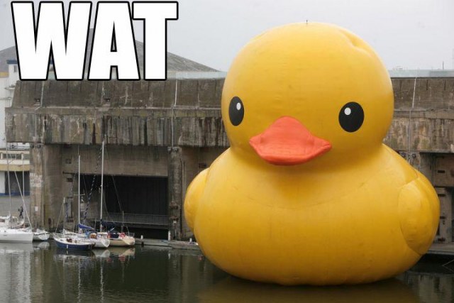 A large yellow duck in a river with the caption WAT.